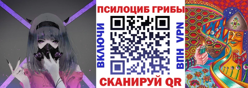 Псилоцибиновые грибы MAGIC MUSHROOMS  где купить   Туран 